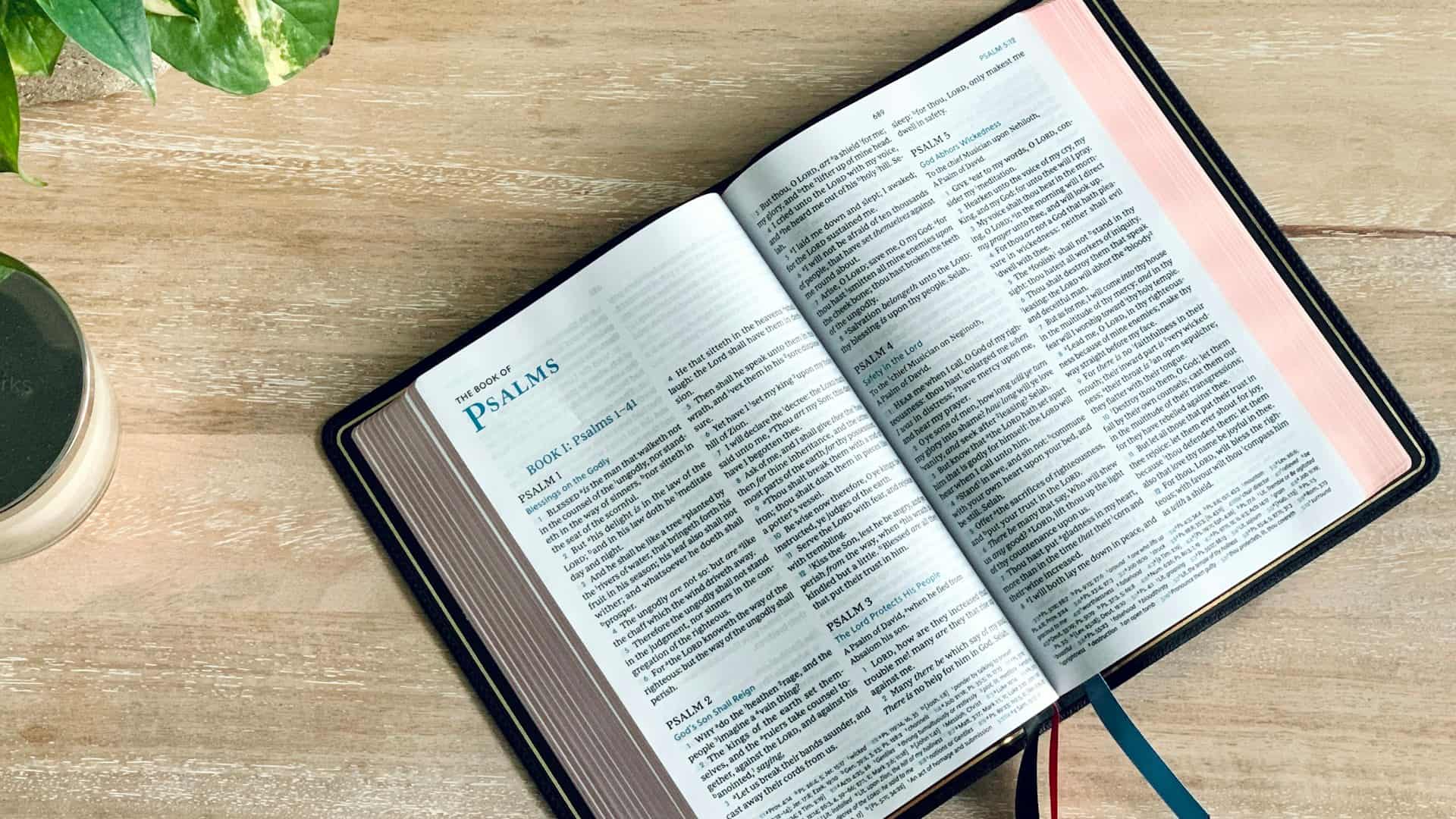 A Bible open at the Psalms on a pale wooden table, beside a plant