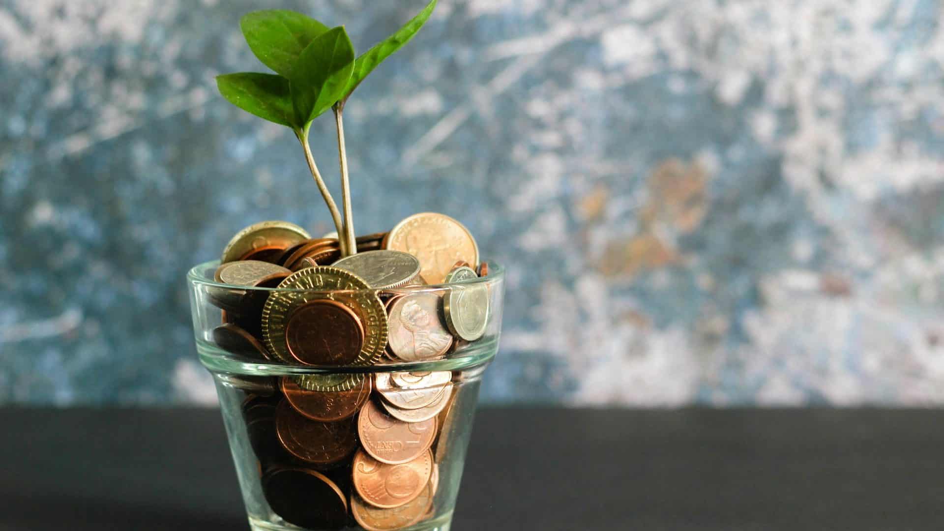 A green shoot growing from a glass jar filled with coins